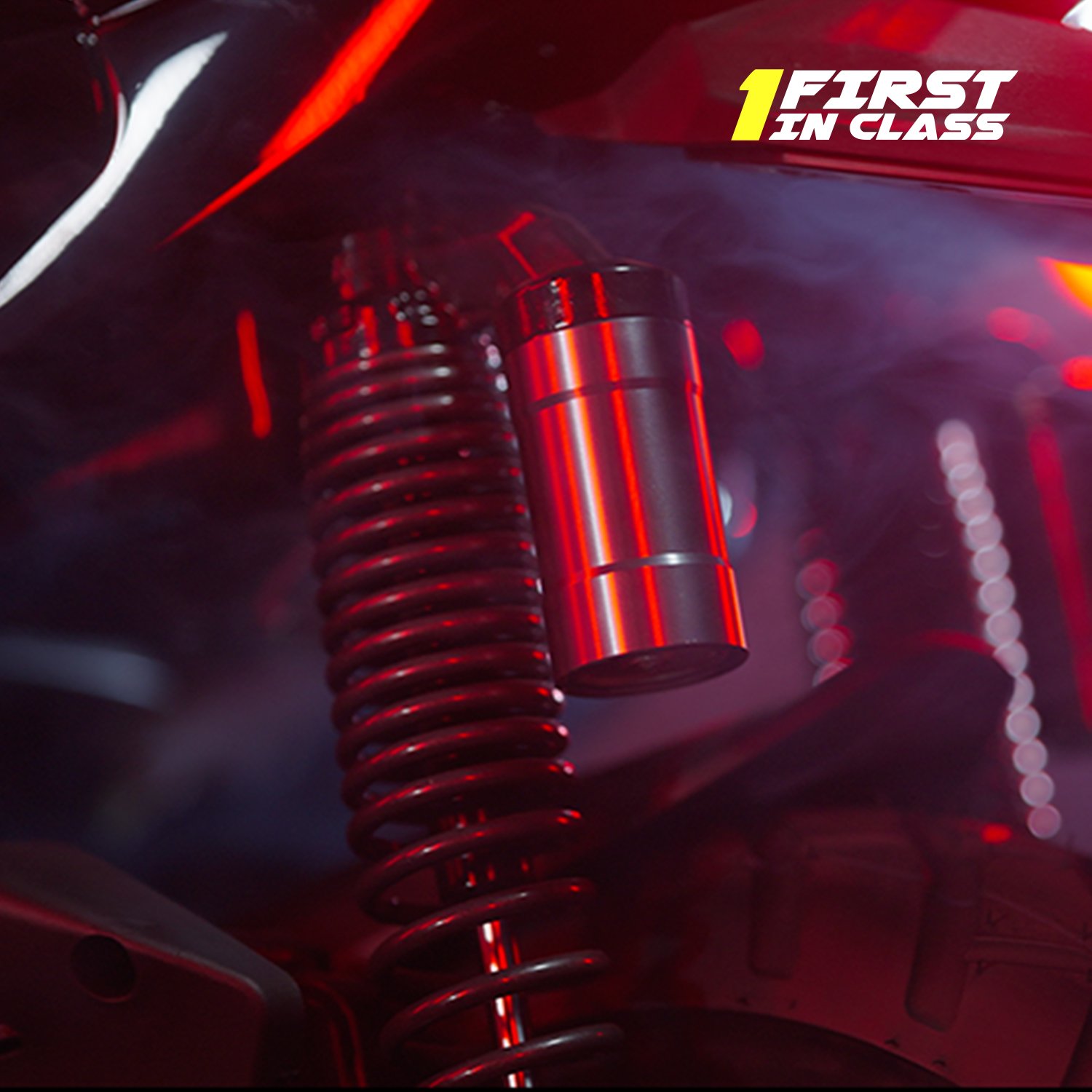 DUAL GAS PRO SHOCK ABSORBERS